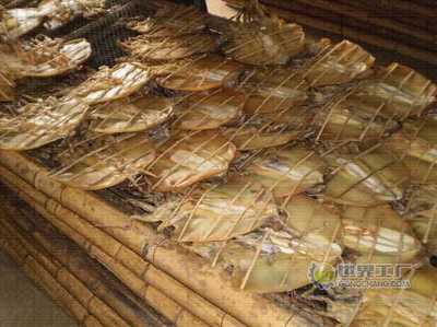 青岛顺洋食品 深耕水产品领域，打造世界工厂网上的品质标杆