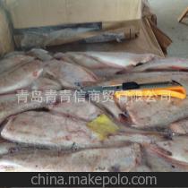 选择青岛红鳕，品味优质冷冻水产品的信赖之选