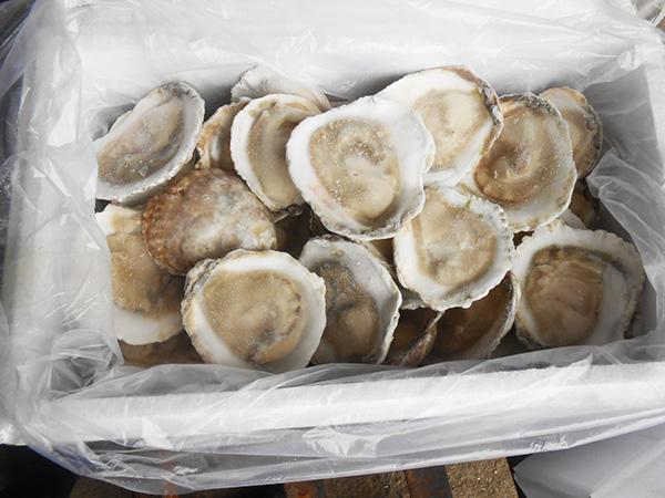 产品库 食品及饮料 粗加工水产品 冷冻粗加工水产品 牡蛎肉,万斛食品